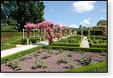 kasteel rozentuin van coloma belgie kats rozen roos hdr japan bloesem japanse tuin siertuin
